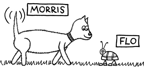 Dog cartoons: Minnie The Westie's friends, Morris and Flo