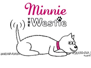 Minnie The Westie computer wallpaper - plain design