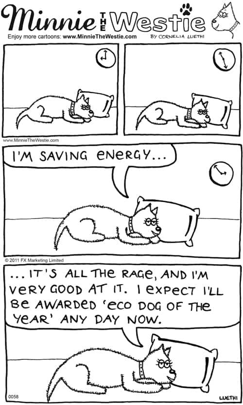 Minnie The Westie is an energy-saving Eco Dog