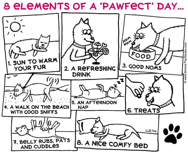 Minnie The Westie - west highland terrier dog cartoons