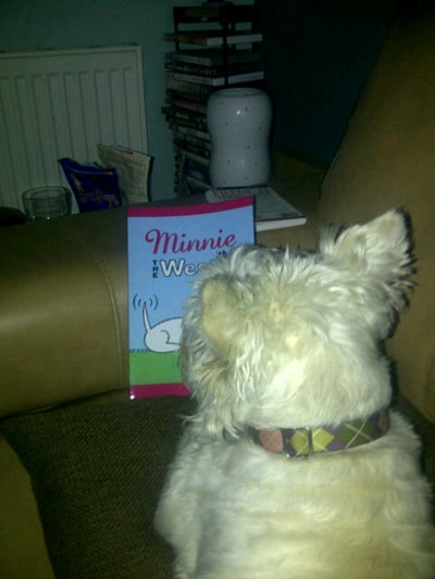 Willo checks out the 'Minnie The Westie' book
