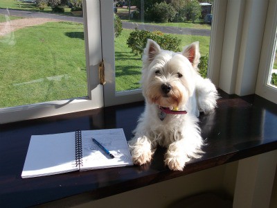 Minnie The Westie and her sketchbook