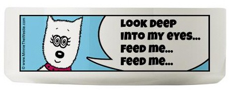 westie gifts: Minnie The Westie hypnotise-eyes pet food bowl