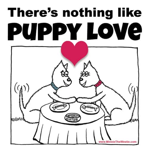 There's nothing like Puppy Love!