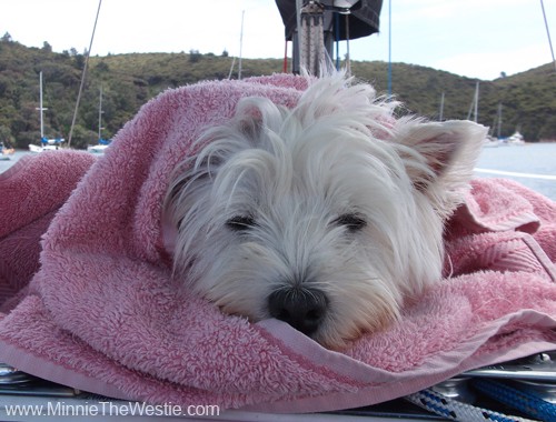 Naturally, my beach towel is pink. :) I look very snug and cosy eh!