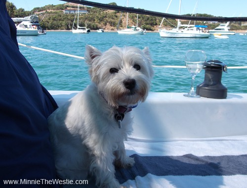 Minnie celebrates her 7th birthday in style on board her yacht!