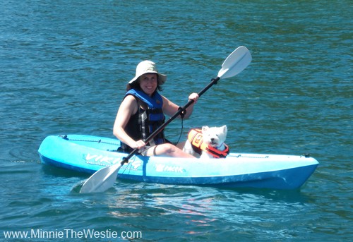 I am getting more confident as a kayaking dog!