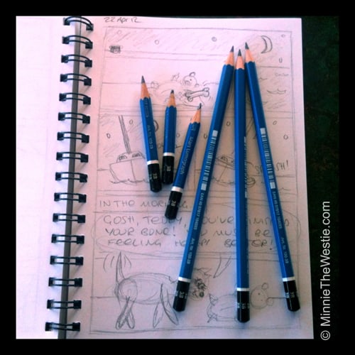 3 old pencils and 3 new pencils for cartooning!