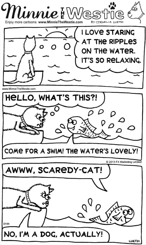 Minnie The Westie cartoon: Westies aren't scaredy-cats!