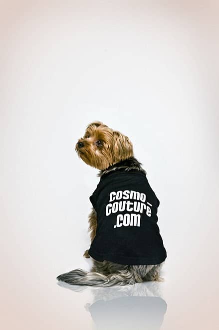 Cosmo Couture