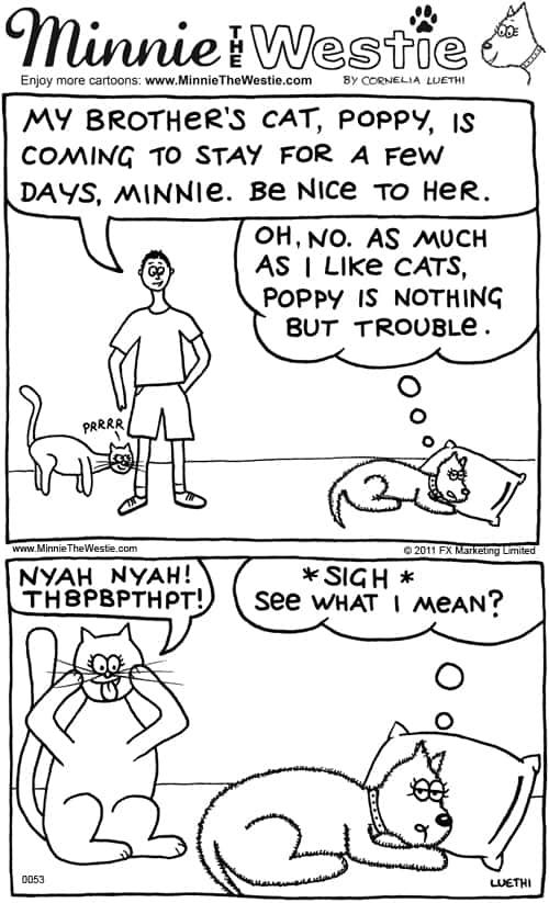 Minnie The Westie cartoon