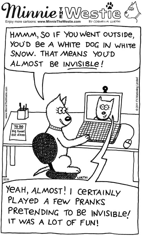 Westie cartoon about snow