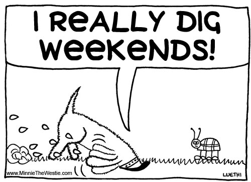 Minnie The Westie really digs weekends!