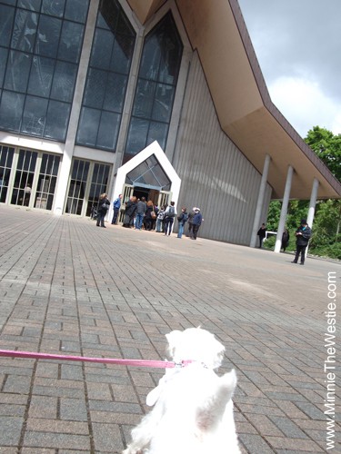 The cathedral! I refused to turn round and pose, I had to pull mum along to give her the hurry up. After all, there were lots of people and animals waiting for me!