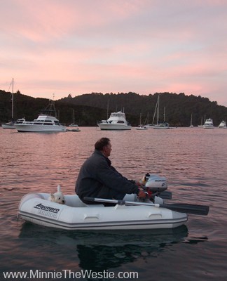 Finally, here's how I get from boat to beach: on the Minnie-Mobile (which has a Minnie-Motor)! Mum and dad take me ashore several times a day. This evening trip ashore was pawticularly pawretty. We get to see lots of lovely sunsets on holibobs on the boat. :)