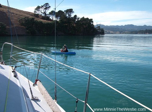 Round the bay (and round the boat) we go... it's so pawretty!