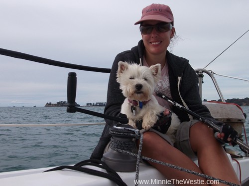 All too soon it was time to go home: holibobs are never long enough. Here I am on mum's lap while she's steering the boat. If you look carefully, I am so content that my eyes are closed and my tongue is poking out! I was like this for ages, I was totally blissed out!