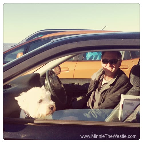 I keep a good lookout on the car ferry!