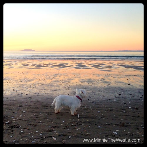 Ahhh, what a beautiful sunset on Onetangi Beach!