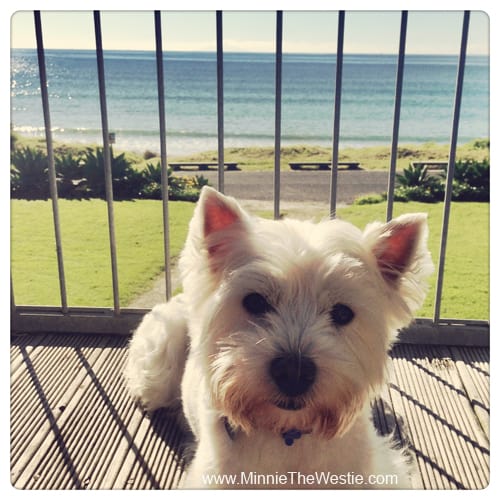 There's a good view of the beach from the deck, too.