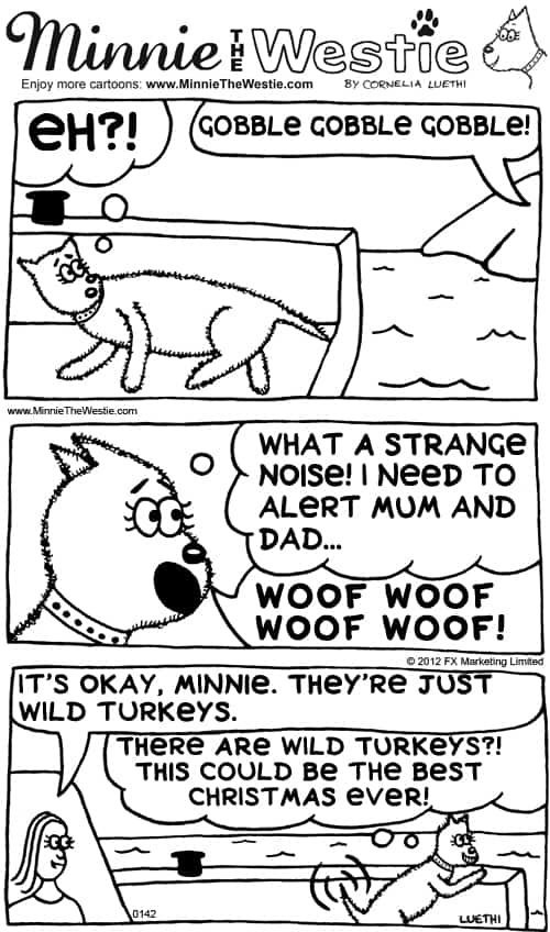 Minnie The Westie cartoon: Christmas turkey